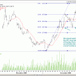 dlf-24-dec-08-b